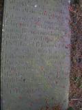 image of grave number 141511